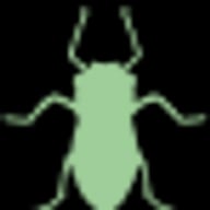 Aphid
