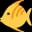 Butterfish Shell